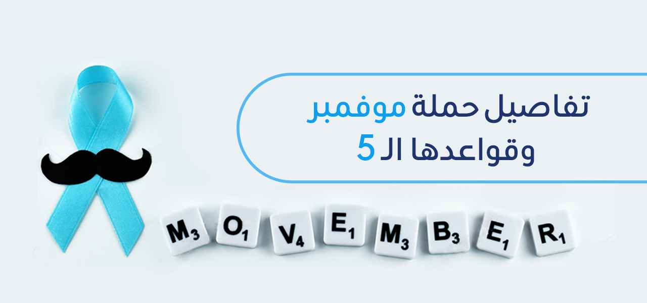 ماهي حملة موفمبر ولماذا سميت بهذا الاسم؟