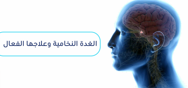 ما هي أمراض الغدة النخامية وأفضل الطرق لعلاجها؟