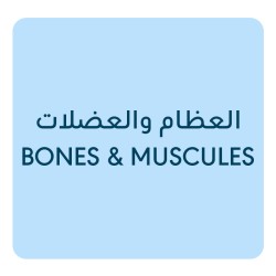 أدوية العظام والعضلات